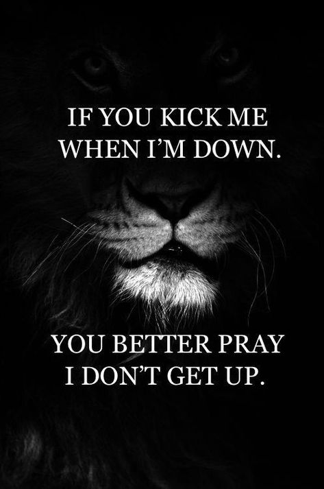 Quotes With Lion Images, Lion Mentality, Alpha Male Quotes, Leo Quotes, Lion Quotes, King Quotes, Powerful Inspirational Quotes, Strong Mind Quotes, Inspirational Quotes With Images