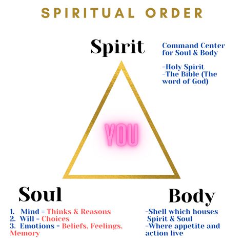 The Human Spirit, 7 Spiritual Bodies, Soul Vs Spirit, Spiritual Downloads, Connect With Spirit Guide, Seven Spirits Of God, Body Soul Spirit Diagram, Spiritual Ties, Soul Contract Spiritual