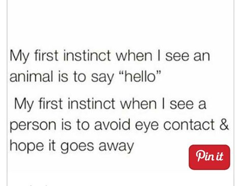 Avoid eye contact Awkward Quotes, Awkward Person, Intj Humor, Awkward Silence, Haha Quotes, Person Quotes, Introvert Humor, Highly Sensitive Person, Socially Awkward