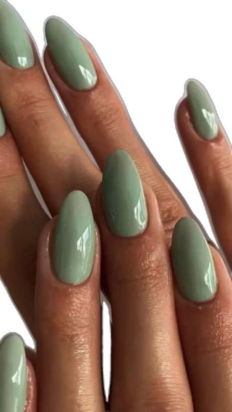 August Nails, Lilac Nails, Solid Color Nails, Plain Nails, Fall Nail Trends, Subtle Nails, Green Nail, Thanksgiving Nails, Gradient Nails