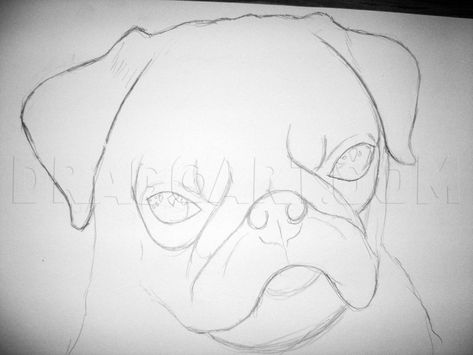 Pug Template, Pugs Drawing, Dog Face Drawing, Realistic Eye Drawing, Realistic Pencil Drawings, Animal Drawings Sketches, Pug Art, Nose Drawing, A Pug