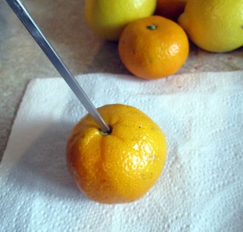 How to Dry Citrus Fruit - Dried Garland, Christmas Tree Dyi, Citrus Garland, Making Christmas Decorations, Orange Pomanders, Pioneer Crafts, Mason Jar Lids Ornaments, Fashion Christmas Tree, Prim Crafts