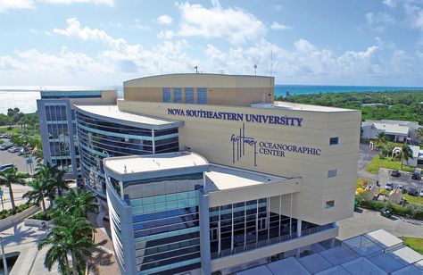 Nova Southeastern University, Turtle Homes, Southeastern University, Turtle Conservation, Colleges In Florida, Florida International University, Student Loan Forgiveness, College List, Best Nursing Schools