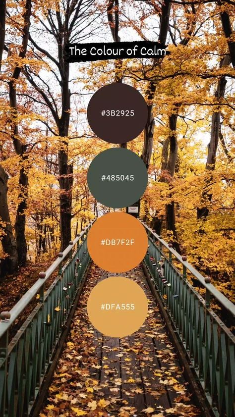 The Colour of Calm - Free Colour Palettes (@the_colour_of_calm) • Instagram photos and videos Boho Fall Color Palette, November Color Palette, Colour Palette Autumn, Color Palette Autumn, Color Palette Purple, Rustic Color Palette, Autumn Colour Palette, Orange Palette, Orange Color Schemes