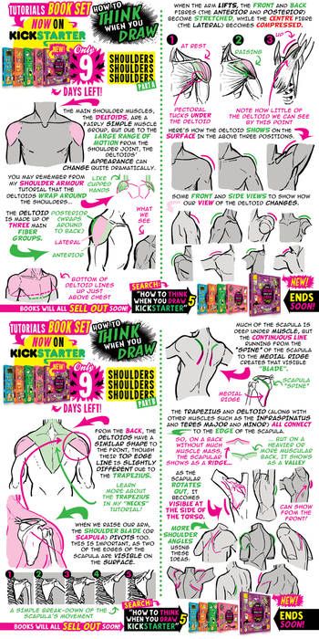 Draw Shoulders, Muscles Drawing, Etherington Brothers, Comic Tutorial, Anatomy Tutorial, Body Drawing Tutorial, Human Anatomy Drawing, Human Anatomy Art, Anatomy Sketches