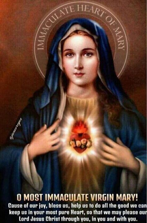 DeskofLori🕊AphroditeEnigmaLady⚖️🗽🐚 on Twitter: "#August , The Month of the #ImmaculateHeartofMary… " Immaculate Mary, The Immaculate Heart Of Mary, Mary Immaculate, Mother Mary Images, Immaculate Heart Of Mary, Blessed Mary, Heart Of Mary, Images Of Mary, Immaculate Heart