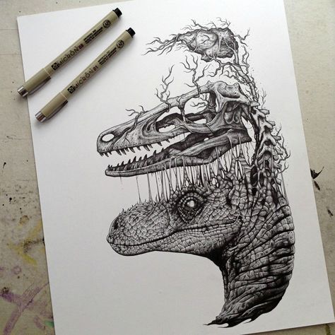 Raptor skull and brain drawing por www.pjackson.bigcartel.com Animal Skull Drawing, Brain Drawing, Dinosaur Sketch, Paul Jackson, Animal Skeletons, Tattoo Zeichnungen, Dinosaur Drawing, Skulls Drawing, Dinosaur Art