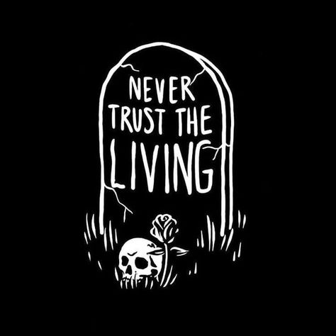 Trust No One Aesthetic, Aesthetic Wallpaper Hd, One Aesthetic, Dark Skull, Never Trust The Living, Crow Tattoo, Funny Long Jokes, Long Jokes, Trust No One