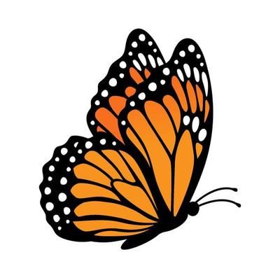 Monarch butterfly silhouette, side view. Vector illustration isolated on white background 11588674 Vector Art at Vecteezy Monarch Butterfly Side View, Monarch Butterfly Rock Painting, Clip Art Butterfly, Butterfly Side View, Monarch Butterfly Art, Side Butterfly, Monarch Butterflies Art, Drawings Inspo, Side View Drawing