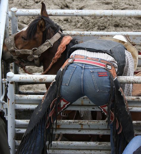 linds-lovesjesus:    blahblahshaw:    Buckin’ Chute       ahhaha took me a good five minutes to realize that ^ Wilde Westen, Estilo Country, Cowboy Up, Bull Riders, Bull Riding, Country Men, Fete Anime, Country Boys, Wrangler Jeans