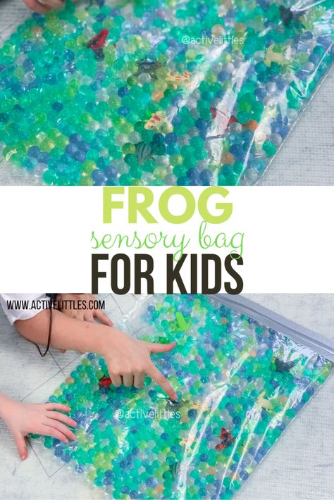 Frog Activity Preschool, Tadpole Activities, Swamp Activities For Kids, Pond Life Activities For Toddlers, Sensory Bags Preschool, Tadpole Craft, Frog Sensory Bin, Pond Preschool, Frog Activity