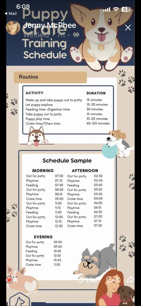 Puppy Routine Schedule 8 Weeks, Best Way To Train A Puppy, Dog Training Potty Go Outside, Puppy Zone Ideas, New Puppy Training Schedule, 4 Month Puppy Schedule, Crate Training Puppy While Working, Dog Crate Training Schedule, Dog Potty Schedule