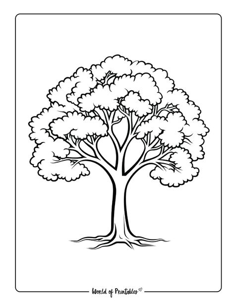 Family Tree Sketch, Drawing Of Tree, Tree Outline Drawing, Tree Drawing Easy, Easy Tree Drawing, How To Draw A Tree, Tree Drawing For Kids, Tree Drawing Simple, Tree Outline