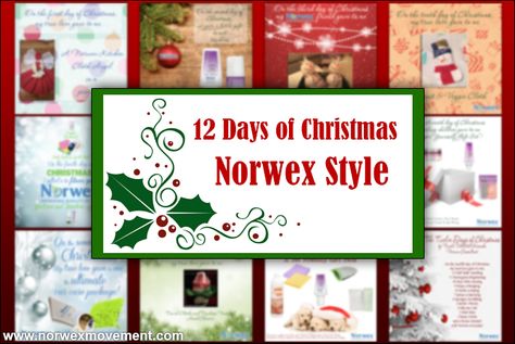 The 12 Days of Christmas, Norwex Style Norwex Christmas, Norwex Tips, Christmas Open House Invitations, Norwex Cloths, Norwex Products, Norwex Party, Norwex Consultant, Norwex Cleaning, Open House Invitation