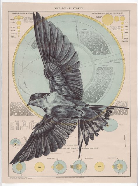 Mark Powell, Biro Drawing, Chinese Scroll, System Map, Art Alevel, Ballpoint Pen Drawing, Pen Illustration, Colossal Art, Visual Culture