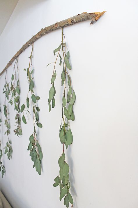 DIY Wall Decor - Eucalyptus Branch - The Honeycomb Home Tree Branch Decor Diy, Western Decor Diy, Branch Wall Art, Room Decor Boho, Tree Branch Decor, Boho Mirror, Tree Branch Wall, Living Room Decor Rustic, Boho Living Room Decor