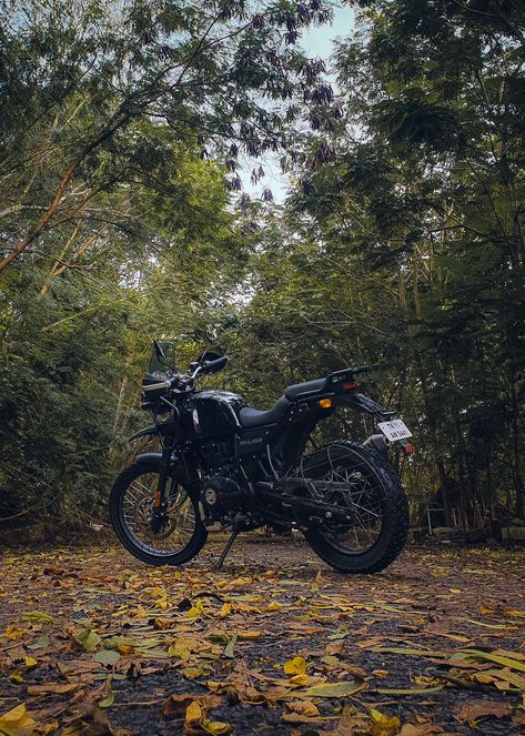 Bike Anime, Himalayan Bike, Royal Enfield Hd Wallpapers, Himalayan Royal Enfield, Iyyapan Images Hd Wallpaper, Moto Wallpapers, Rain Pictures, Enfield Himalayan, Animal Spirit Guide