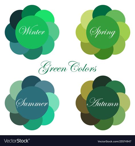 Seasonal color analysis palettes Royalty Free Vector Image Autumn Color Palette Fashion, Cool Summer Palette, Deep Winter Palette, Deep Autumn Color Palette, Soft Summer Palette, Soft Summer Color Palette, Deep Winter Colors, Soft Summer Colors, Clear Winter