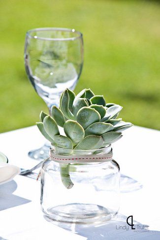 #Succulent wedding table decor ft. in Eco Friendly Karoo Style Garden Wedding, South Africa | Confetti Daydreams ♥  ♥  ♥ LIKE US ON FB: www.facebook.com/confettidaydreams  ♥  ♥  ♥ #Wedding #RealBride #GreenWedding Succulent Table Decor, Wedding South Africa, Succulent Wedding Table, Dorm Room Decor Diy, Wedding Table Deco, Succulent Wedding Decor, Protea Wedding, African Christmas, Long Table Wedding