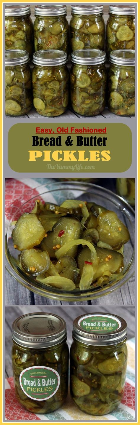 Grandma's easy, old fashioned pickle recipe that's suitable for refrigerater pickles or canning. Printable labels, too Canning Bread, Pickles Canning, Bread And Butter Pickles, Old Fashioned Recipe, Butter Pickles, Canning Pickles, Canning Vegetables, Best Bread, Canning Tips