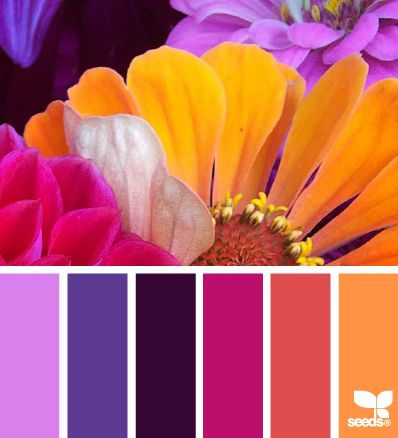 Bold colors Palettes Color, Palette Design, Color Palate, Design Seeds, Interesting Stuff, Color Stories, Purple Orange, Color Textures, Colour Schemes