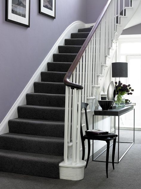 Purple walls, white trim, dark brown/black furniture and charcoal carpet...inspired elegance Best Colour For Hall, Dark Grey Carpet, Carpet Diy, Grey Hallway, Gray Stairs, Black Stairs, Hallway Colours, Dark Carpet, Hal Decor