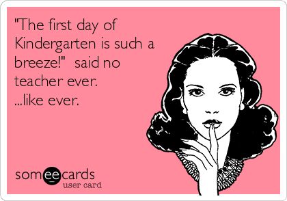 Truth! Kindergarten First Day, E Card, Teacher Humor, Someecards, First Day Of School, Plexus Products, Great Quotes, Wise Words, Favorite Quotes