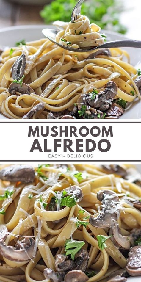 Hearty, earthy and meaty. This delicious and creamy mushroom Alfredo with fettuccine is the perfect dinner for two pasta lovers. Dinner Night Recipes, The Cooking Jar, Mushroom Alfredo, Alfredo Recipes, Pasta Ravioli, Pasta Recipes Alfredo, Fettuccine Alfredo Recipes, Tortilla Soup Recipe, Night Recipes