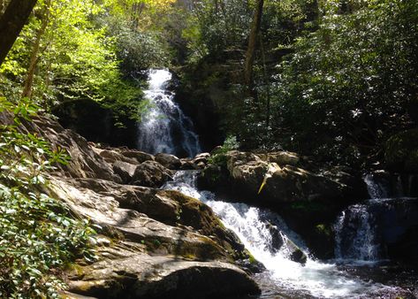 Wears Valley Tennessee, Hikes In Gatlinburg Tn, Hiking Near Louisville Ky, Hiking Trails In Gatlinburg Tn, Smoky Mountain Hiking Trails, Tennessee Family Vacation, Tennessee Living, Gatlinburg Off The Beaten Path, Laurel Falls