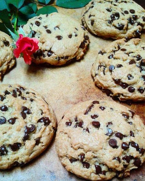 Cream Cheese Chocolate Chip, Cream Cheese Chocolate Chip Cookies, Vegan Comfort Food Recipes, Chocolate Chip Cookies Vegan, Soft Batch, Rabbit And Wolves, Dark Chocolate Chip Cookies, Dairy Free Cream Cheese, Averie Cooks