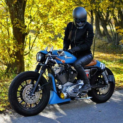 Art Harley Davidson, Motocykle Harley Davidson, Sportster Cafe Racer, Motos Bobber, Harley Davidson Crafts, Harley Davidson Quotes, Мотоциклы Harley Davidson, Harley Davidson Wallpaper, Harley Davidson Iron 883