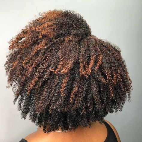 Natural Hair Highlights, Partial Highlights, Natural Hair Stylists, Black Sheep, The Crown, Your Head, Be Perfect, Natural Hair, Hair Stylist