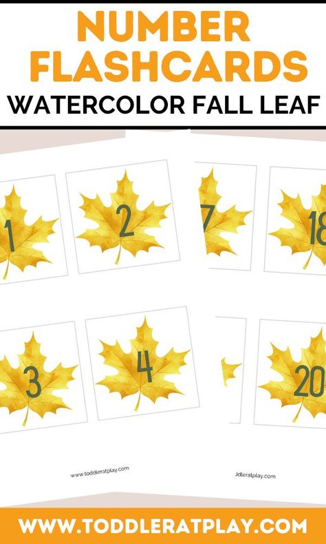 These Watercolor Fall Leaf Number Flashcards are a great, visual way to learn numbers! They're perfect for learning to count to 20. Cut out, laminate (optional) and hang as a garland for a beautiful Fall number flashcard display! Or use counting chips or blocks along with the flashcards to help kids learn to count. *Numbers 1-20 on a yellow maple leaf. *Best if printed with color printer. Fall Activities For Toddlers, Free Math Games, Learning To Count, Preschool Counting, Number Flashcards, Learn Numbers, Preschool Activities Toddler, Autumn Activities For Kids, Fun Math Games