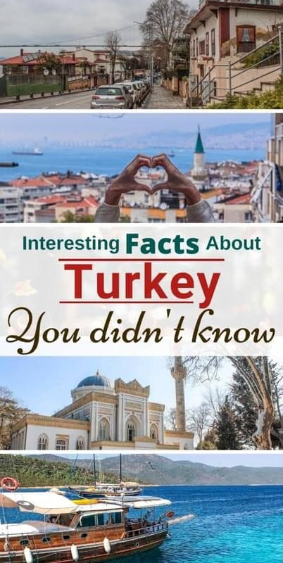 Here are some practical interesting facts about Turkish culture and what you can expect when visiting the country. Give it a read! #turkey #bestofturkey #turkeytravel Turkey The Country, Turkey Culture, Turkey Project, Country Turkey, Turkey Vacation, International Studies, Turkey Travel Guide, Cultural Travel, Travel Turkey