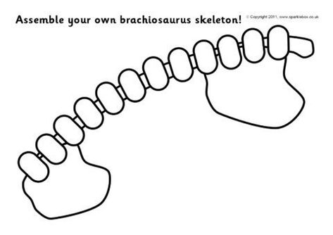 Dinosaur Template, Thema Dino, Skull Template, Skeleton Parts, Make A Dinosaur, Summer Camp Activities, Camp Activities, Homemade Bird Feeders, Largest Dinosaur