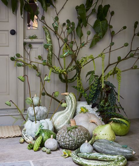 Googly Eyes Halloween, Simple Flower Arrangements, Fall Centerpiece Ideas, Green Pumpkins, Milkweed Pods, Gloriosa Lily, Types Of Pumpkins, Eyes Halloween, Fall Centerpieces