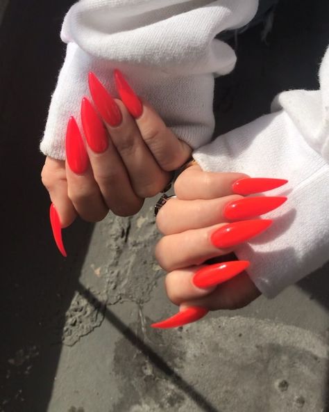 Cherry Red Matte Nails, Blood Orange Nails, Nails Red Orange, Red Orange Nails, Orange Acrylic Nails, Red Manicure, Curved Nails, Vintage Nails, Nails Red