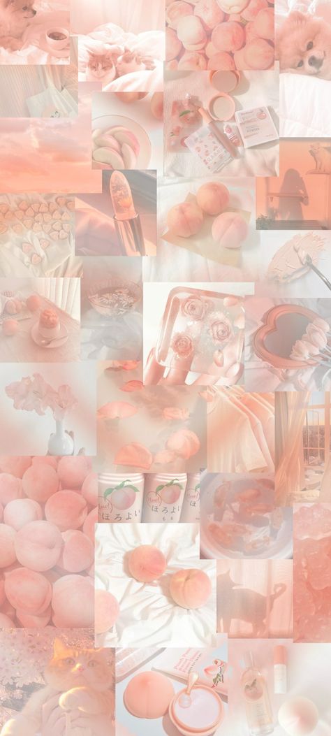 Peach aesthetic wallpaper Soft Peachy Aesthetic Wallpaper, Aesthetic Peach Wallpaper Iphone, Cute Peach Wallpaper Iphone, Peach Aesthetic Wallpaper Vintage, Peach Asthetics Wallpaper, Soft Peach Aesthetic Wallpaper Iphone, Pastel Peach Aesthetic Wallpaper, Luvsoft Orange, Light Peach Aesthetic Wallpaper