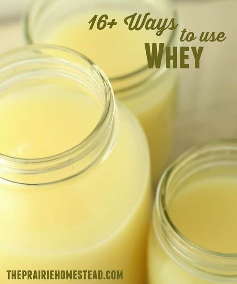 Uses For Whey, Whey Recipes, The Prairie Homestead, Cheese Recipes Homemade, Prairie Homestead, Cheese Making Recipes, Cooking Beets, Goat Milk Recipes, Pudding Chia