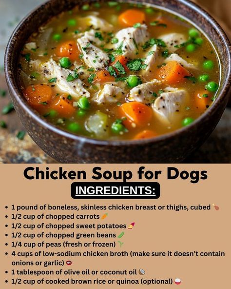 Homemade Dog Food Recipes Chicken Soup For Dogs, Chicken Soup For Dogs Recipe, Soup For Dogs, Dog Thanksgiving, Doggie Treats, Diy Dog Treats, Pet Ideas, Chopped Carrots, Low Sodium Chicken Broth