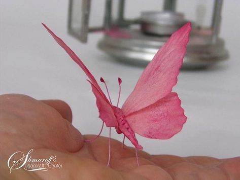 Wafer Flowers, Wafer Paper Tutorial, Wafer Paper Butterflies, Water Paper, Silk Butterfly, Butterfly Tutorial, Wafer Paper Flowers, Wafer Paper Cake, Butterfly Cake