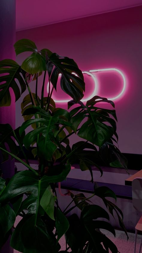 Neon Plants Aesthetic, Neon Garden, Pink Neon Sign, Dark Green Walls, Garage Room, Tattoo Parlor, Background Photos, Background Ideas, Plant Aesthetic