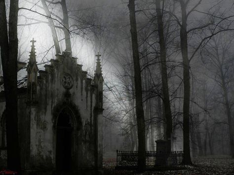 Gothic graveyard Owl Hooting, Grim Fairy Tales, Gothic Landscape, Gothic Background, Wallpaper Gelap, Dark Jungle, Gothic Images, Gothic Photography, Church Aesthetic