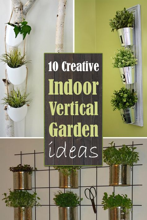 Choose some pretty plants and begin making an original vertical garden that suits your interior. Vertical Herb Garden Indoor, Hydroponic Wall, Herb Garden Indoor, Wall Garden Indoor, Plant Wall Diy, Living Wall Garden, Vertical Garden Ideas, Cottage Patio, Growing Food Indoors