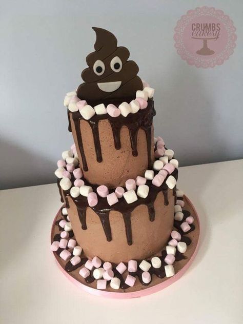 Poo Emoji Birthday Cake, Emoji Cake Ideas, Poo Emoji Cake, Poo Cake, Poop Cake, Poop Party, Emoji Birthday Cake, Neon Cakes, Emoji Cake