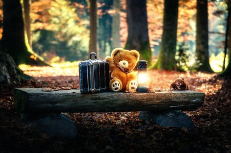 teddy bears #toys #trees #1080P #wallpaper #hdwallpaper #desktop Hd Wallpapers For Laptop, Big Teddy Bear, Teddy Day, Teddy Bear Wallpaper, Wallpaper Computer, Teddy Bear Pictures, Iphone 6 Wallpaper, Wallpaper Ipad, Wallpaper Pastel