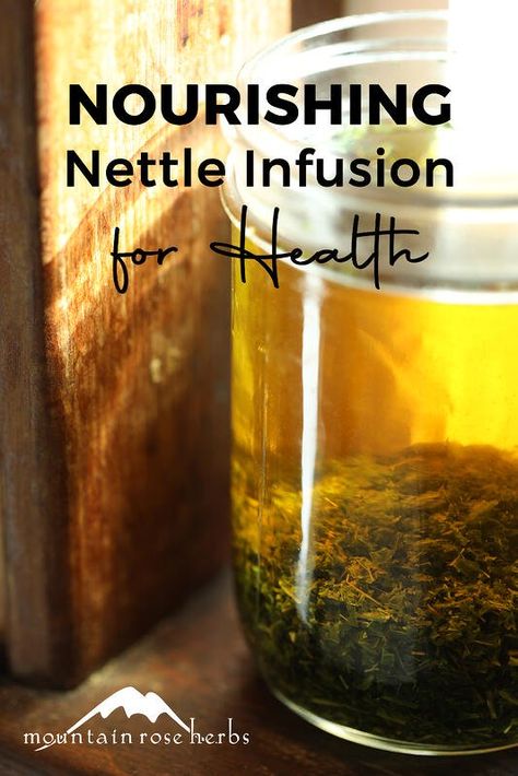 Nettle Tincture, Nettle Recipes, Hot Teas, Nettle Leaf, Herbs Plants, Mountain Rose Herbs, Stinging Nettle, Herbal Plants, How To Make Pesto