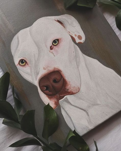 ZAFIRA 🪽🩵 . . . . . . . . #pitbullbogotá #pitbull #mascotascolombia #adoptanocompres #adopt Pitbull Painting, Pitbull, Painting Ideas, Quick Saves, Art