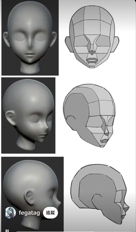 Facial Planes, Blender Character Modeling, Head Anatomy, Zbrush Tutorial, Anatomy Sculpture, Blender Models, Human Anatomy Drawing, Human Anatomy Art, Blender Tutorial