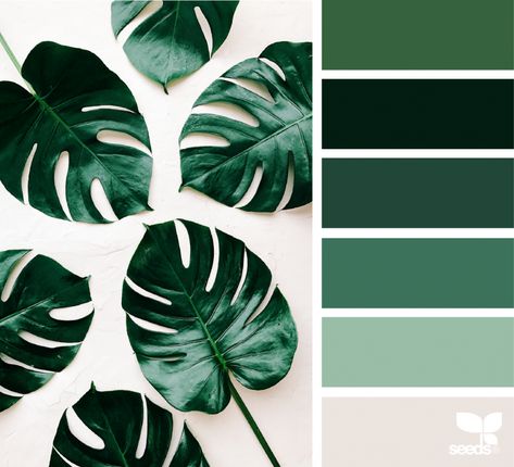 Botanical Hues | design seeds | Bloglovin’ Seeds Color, Nature Color Palette, Green Colour Palette, Design Seeds, Bathroom Colors, Color Stories, Green Design, Colour Schemes, Bedroom Colors